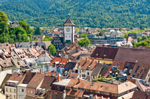 La ville de Freiburg est un centre historique en matière de recherche médicale et d